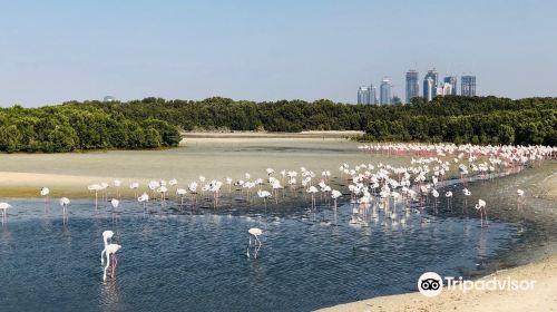 Ras Al Khor Wildlife Sanctuary