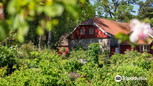 Natural History Museum and Botanical Garden, University of Agder