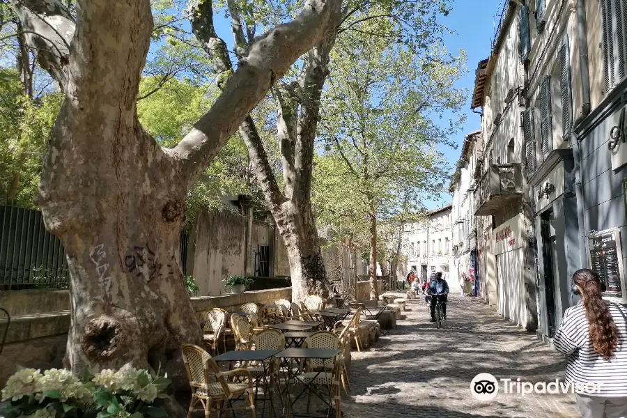 Street of Dyers (Rue de Teinturiers)