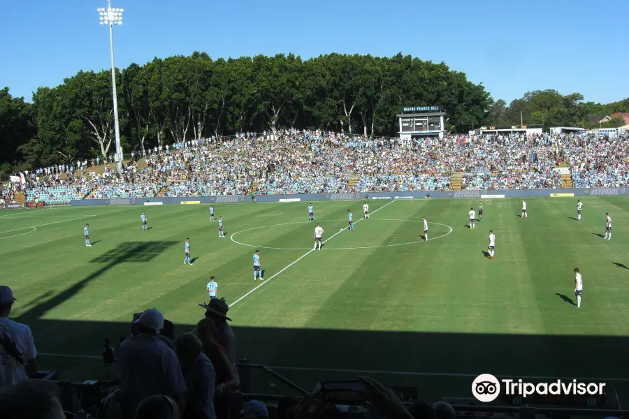 Leichhardt Oval