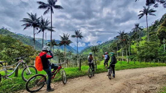 Mountain Bike Salento Colombia