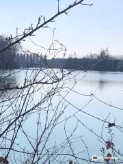 Lago Premarine