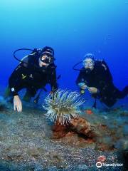 Arrecifal Dive Centre