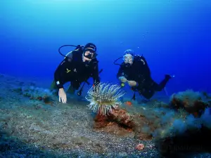 Arrecifal Centro de Buceo | Dive Center