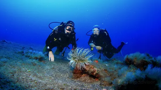 Arrecifal Dive Centre