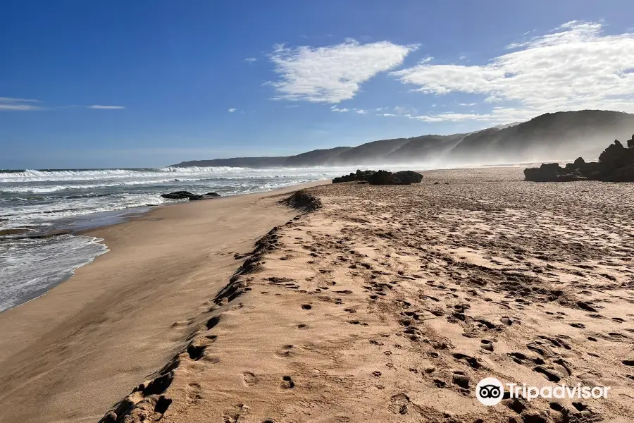 Johanna Beach