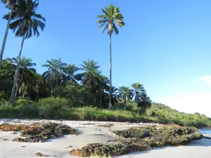 Barra Do Paraguacu Beach