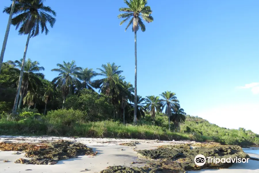 Barra Do Paraguacu Beach