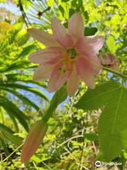 Jardin Georges Delaselle