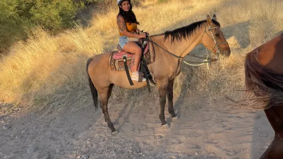 Arizona Horseback Adventures