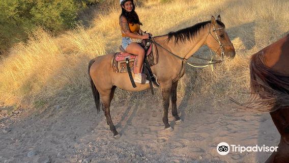 Arizona Horseback Adventures