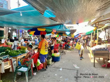 Belen Hotels in Iquitos