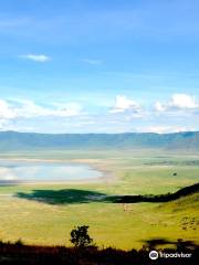 Cratère du Ngorongoro