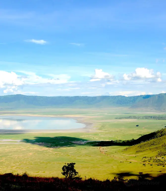 Ngorongoro