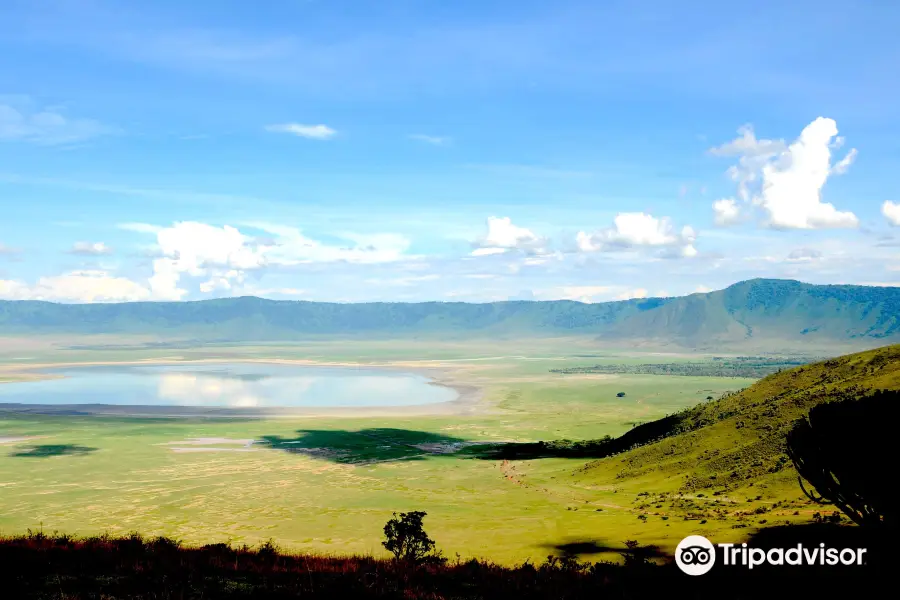 Ngorongoro Crater