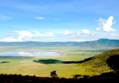 Ngorongoro Crater