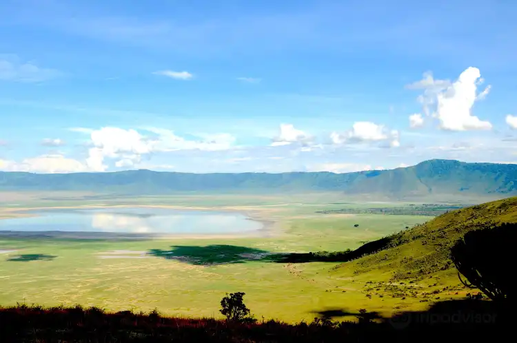 Hotels near Ngorongoro Crater
