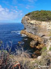 Fossil Bay Lookout