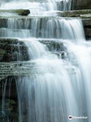 Trough Creek State Park