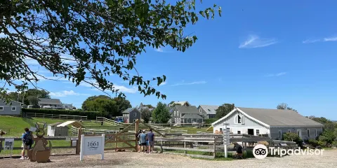 1661 Farm and Gardens