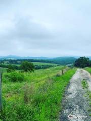 Drumheller's Orchard