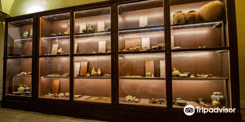 Etruscan Museum of Populonia Gasparri Collection
