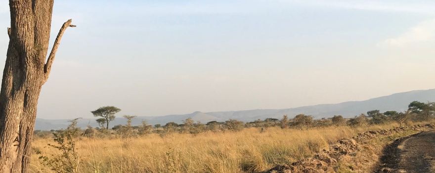 Kisii