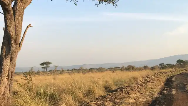 Hotels near Ruma National Park