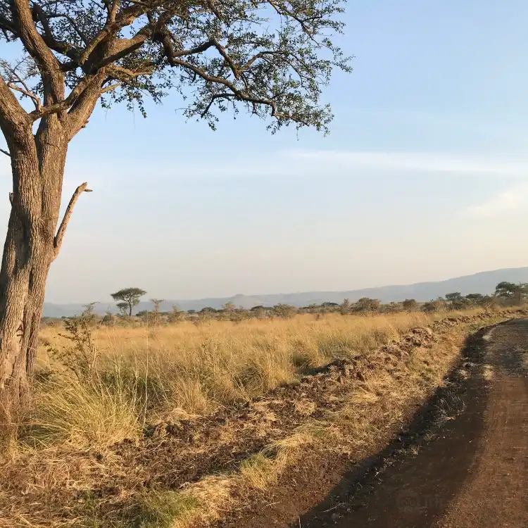 Hotels in Kisii township