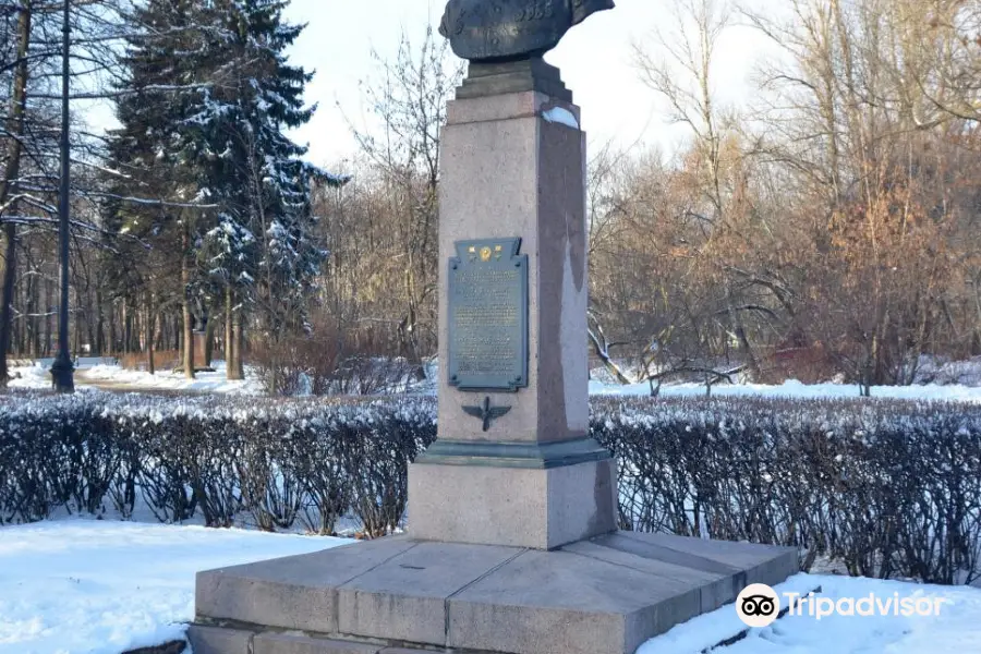 Bust V.M.Golubev