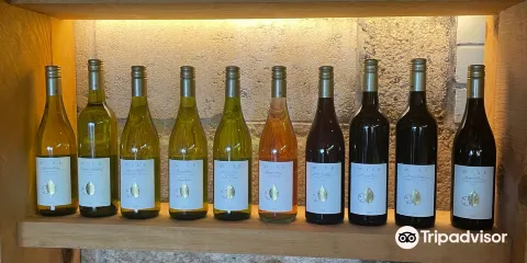 Wise Wine