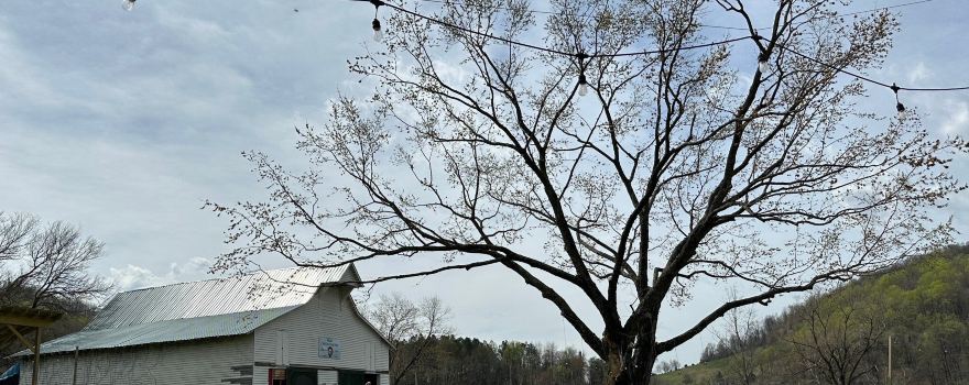 Bryant's Cider & Brewery