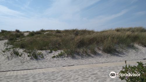 Hornbaek beach