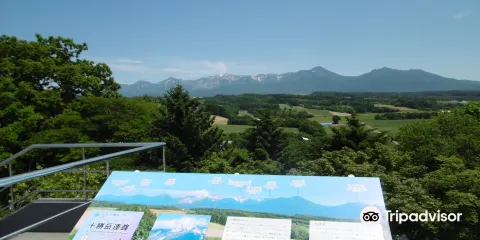 Hinode Lavender Garden