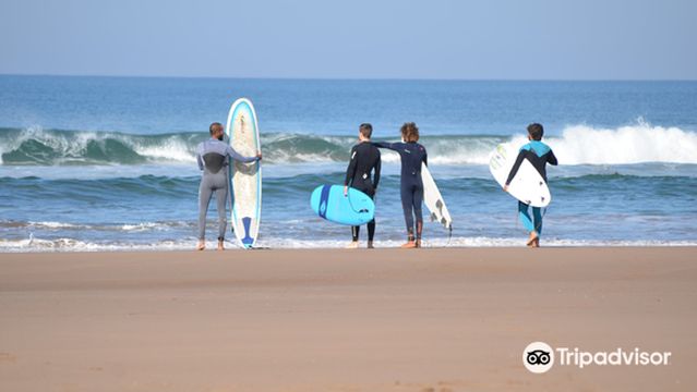 Swell Surf Morocco - Surf & kitesurf school