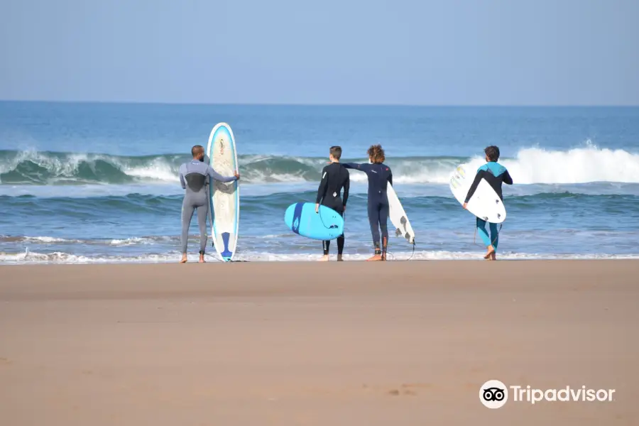 Swell Surf Morocco - Surf & kitesurf school