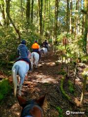 Table Flat Trekking