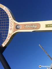 Big Tennis Racquet