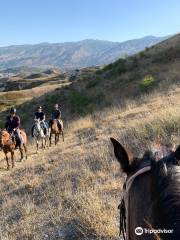 Caravan Horse Riding Albania