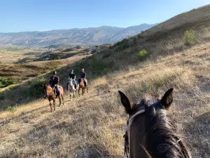 Caravan Horse Riding Albania