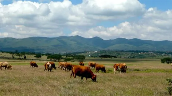 The Reserve at Rimpa Estates Wildlife Conservancy