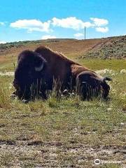 Bear River State Park