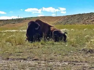 Bear River State Park