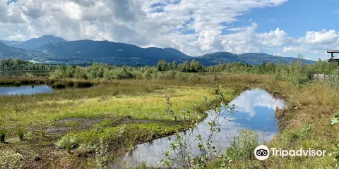 Moorerlebnis Sterntaler Filze