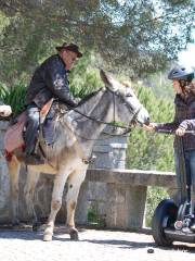 Algarve By Segway