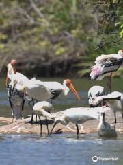 ランガナティトゥ鳥類保護区