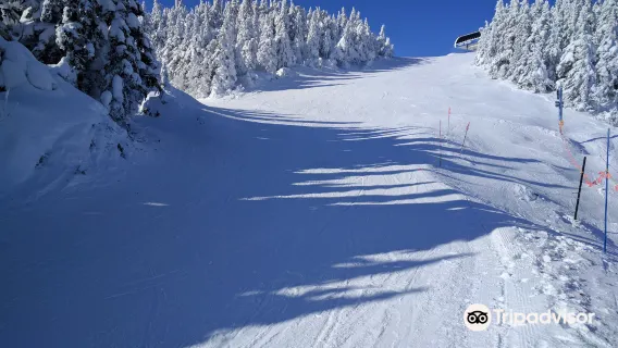 滑雪
