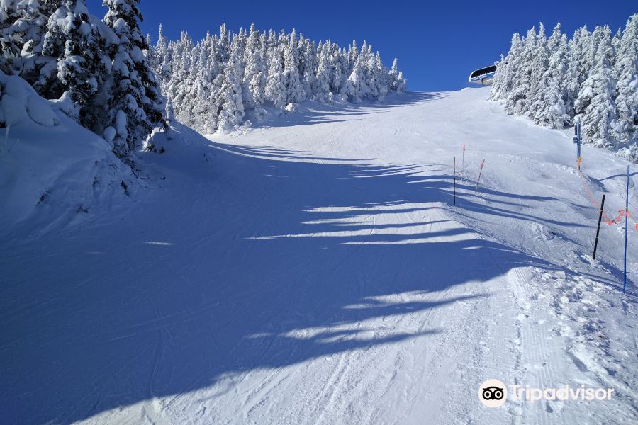 奧福德山滑雪場