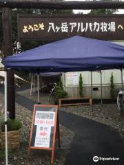 八ヶ岳アルパカ牧場