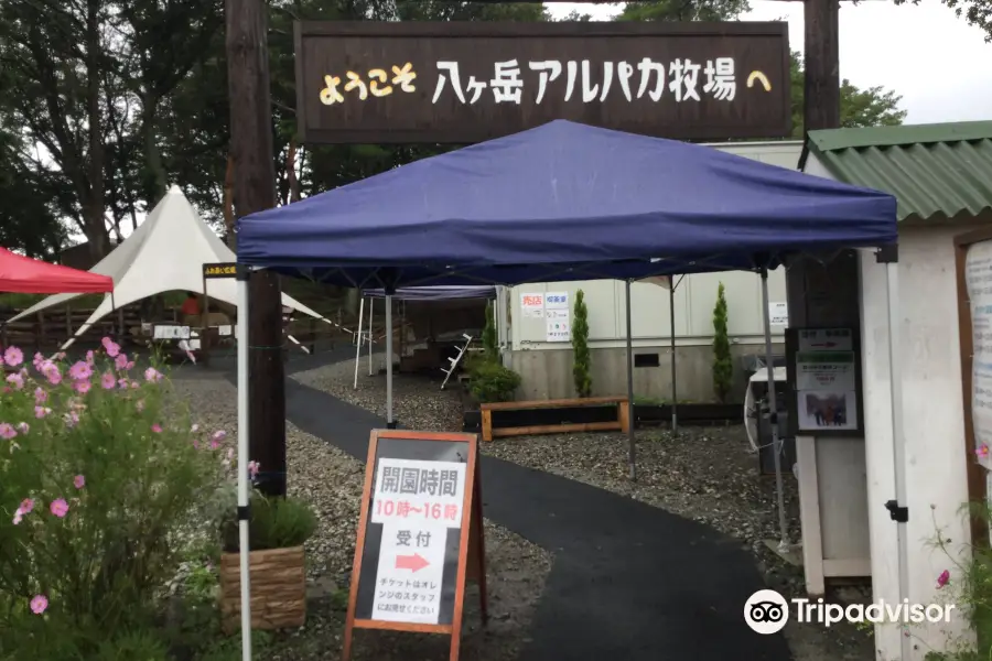 Yatsugatake Alpaca Farm